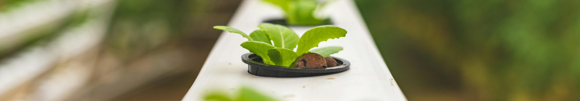 Growing the Future, One System at a Time