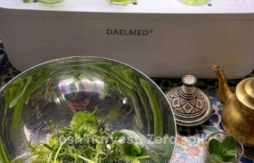 Your Kitchen, Reimagined: Introducing the HydroGrow Mini Kit by DAELMED®