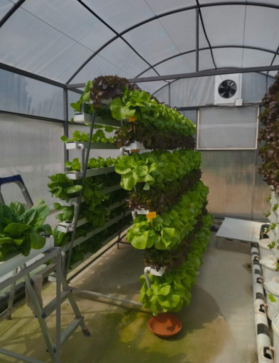 AgriTech Oasis: Greening the Desert