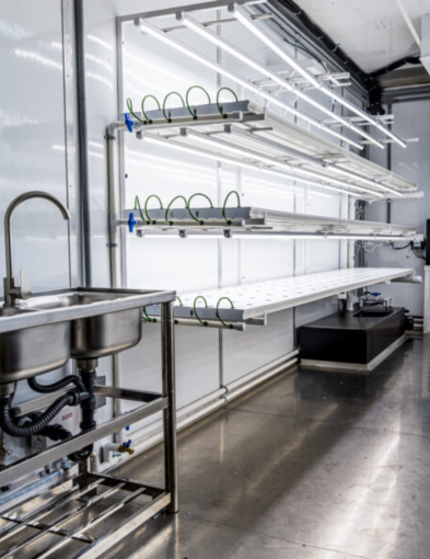Green Pods: Empowering Coastal Farmers with Hydroponics